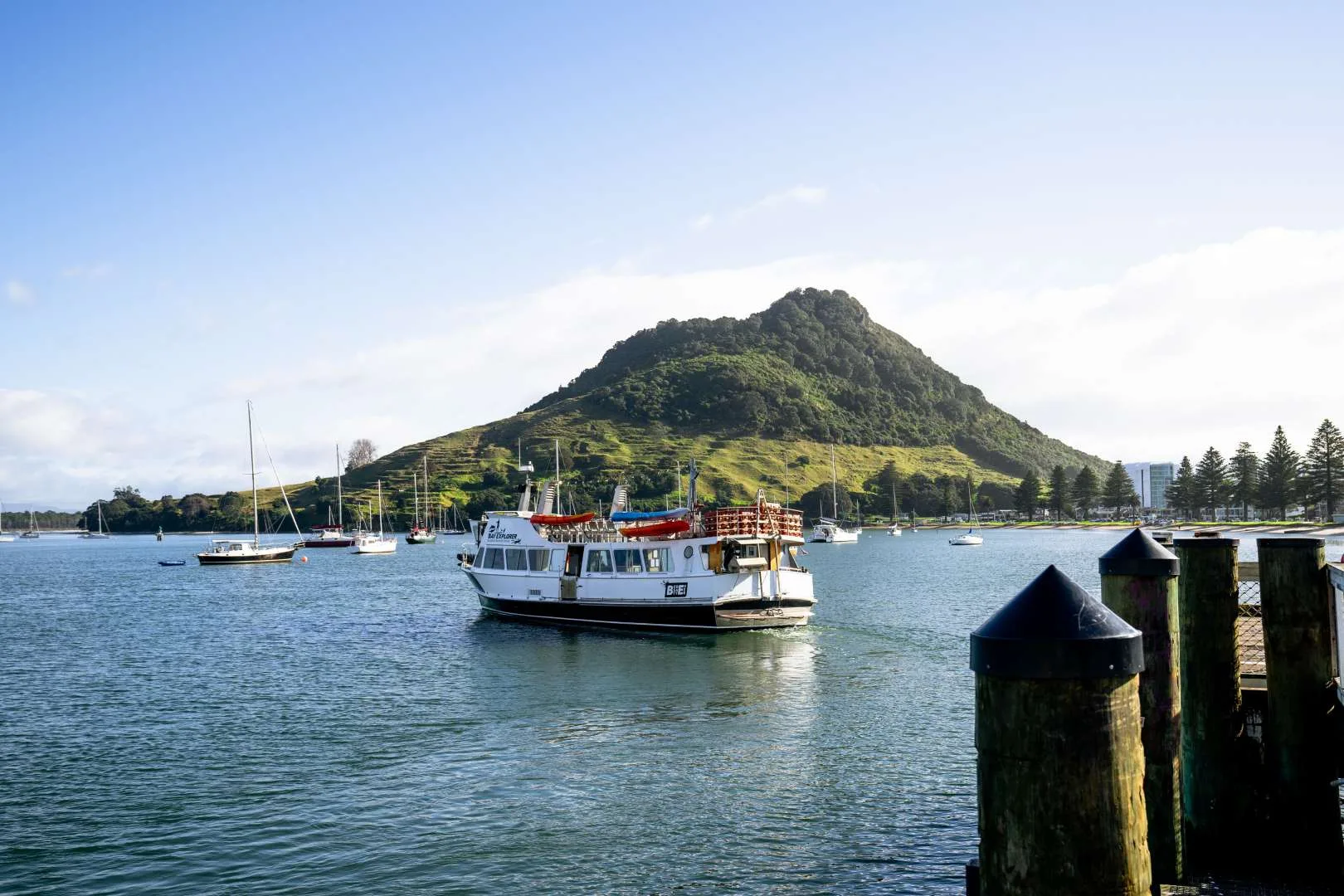 The harbour cooks